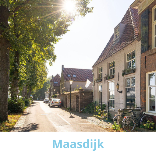 schoonmaakmedewerker Maasdijk